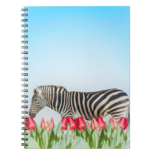 Caderno Espiral Zebra entre as Tulipas