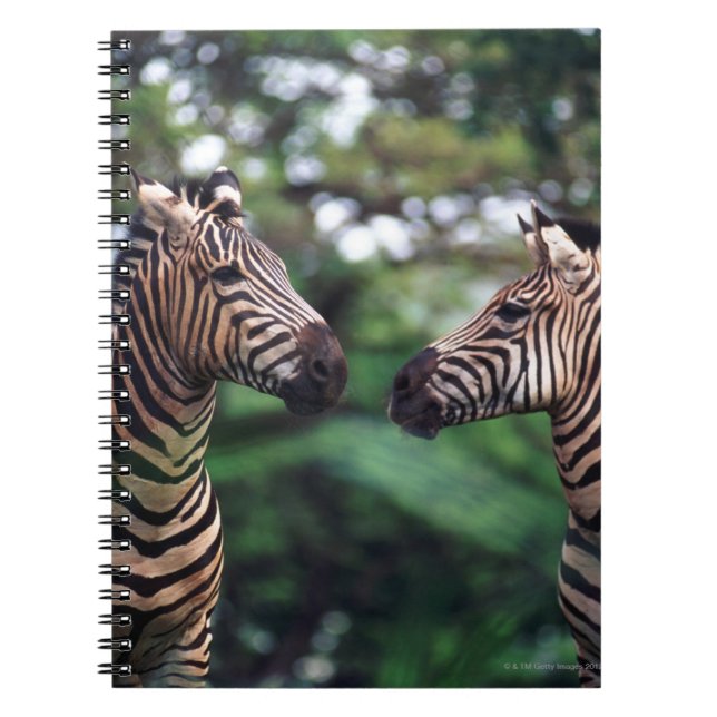 Caderno Espiral zebras (Frente)