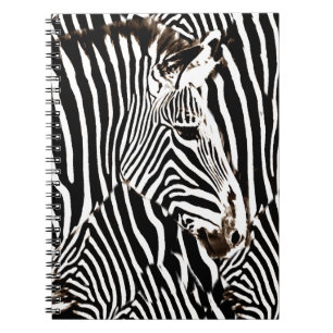 Caderno Espiral Zebras love_