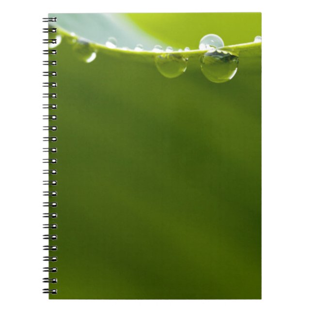 Caderno Espiral Zen Love Green Lotus Leaf Water Drop (Frente)