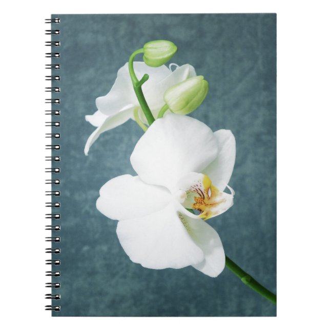 Caderno Espiral Zen White Orchid Flower (Frente)