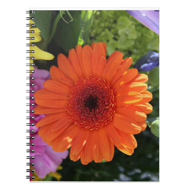 Caderno Espiral Zínia (Frente)
