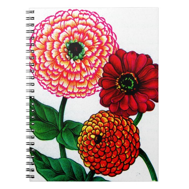 Caderno Espiral zinnias (Frente)