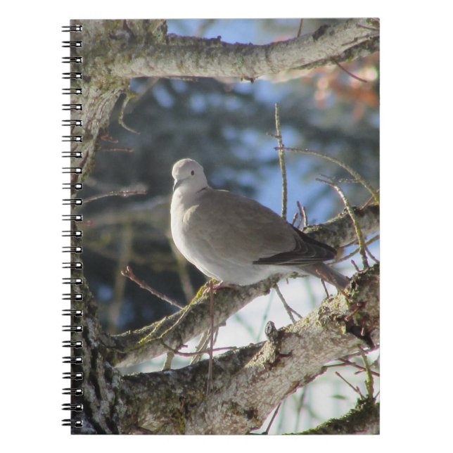 Caderno Espiral Zona Eurasiana na Árvore Maple (Frente)