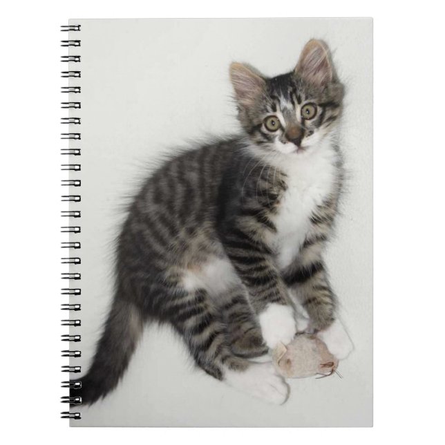 Caderno Espiral Zorro and His Mouse Notebook (Frente)