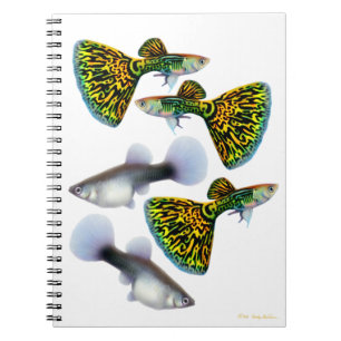 Caderno extravagante dos Guppies do Fantail