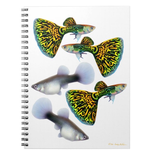 Caderno extravagante dos Guppies do Fantail (Frente)