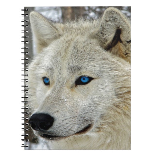 Caderno eyed azul do lobo branco (Frente)