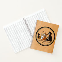 Caderno IMAGINAÇÃO & INTUIÇÃO Colidem