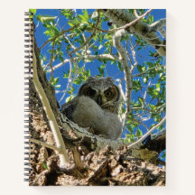 Caderno Observando Você Girar