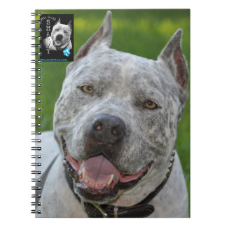 caderno @PitBullSharky! Cara feliz do sorriso do