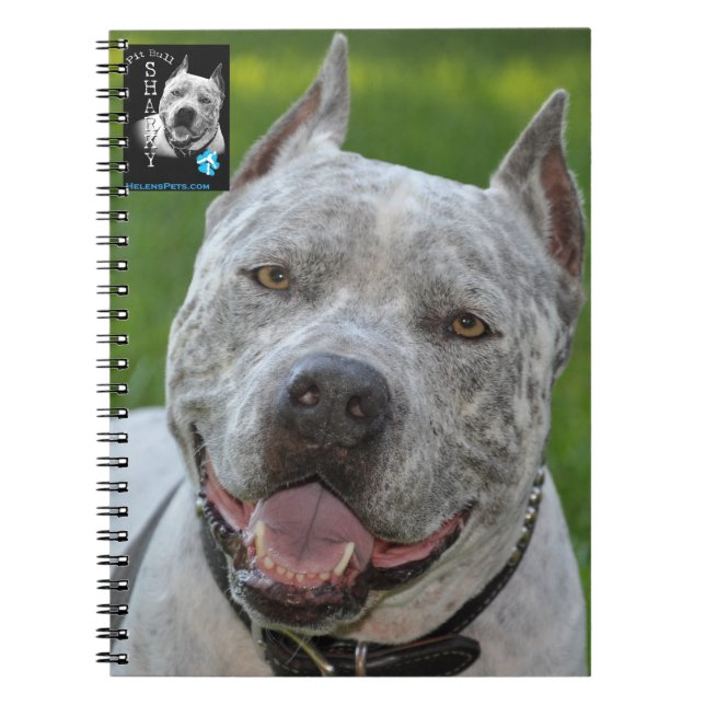 caderno @PitBullSharky! Cara feliz do sorriso do (Frente)