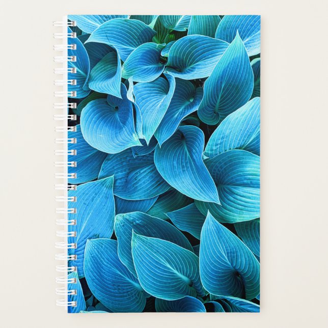 caderno planejador de plantas hosta (Frente)