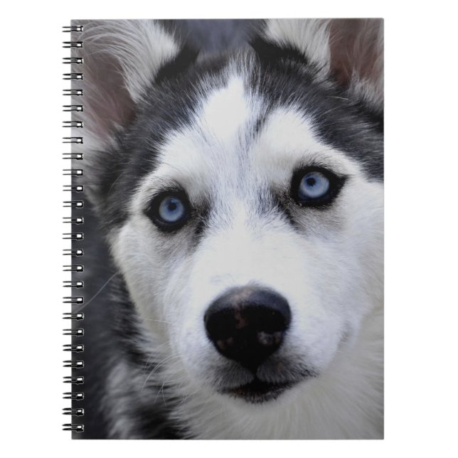 Caderno ronco do filhote de cachorro (Frente)