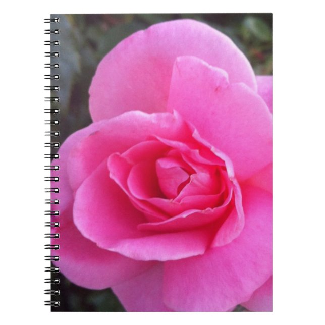 Caderno - rosa do rosa (Frente)
