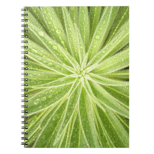 Caderno Sparkling das gotas (Frente)