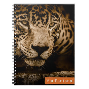 Caderno Via Pantanal Onça