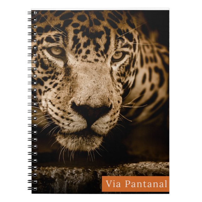 Caderno Via Pantanal Onça (Frente)