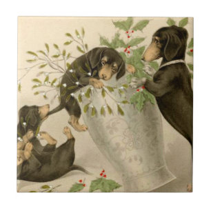 Cães bonitos do dachshund do Victorian do natal