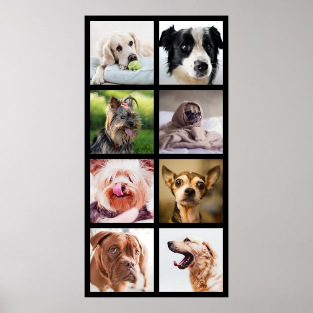 Cães bonitos e engraçados Colagem de fotos Poster  (Frente)