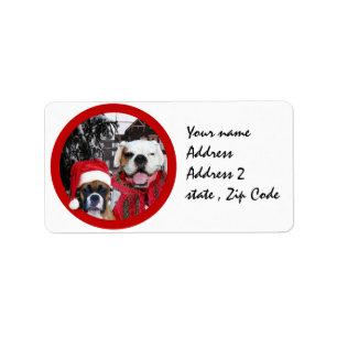 Cães boxers de Natal enviando etiquetas