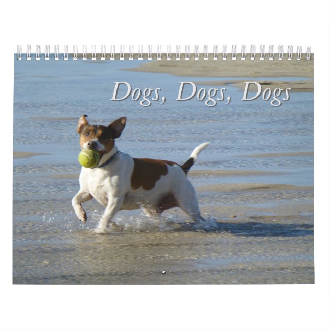 Cães, Cães, Calendário dos Cães (Capa)