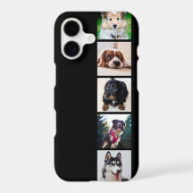 Cães Cães Instagram Fotos Apple