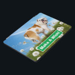 Cães com Dandelion<br><div class="desc">Você fez um desejo? | Avanti,  a Marca Humor Global™ tem entretido o mundo com seus cartões de saudação Sentir-se bem engraçado por mais de 40 anos. Nossas personagens vivem a vida ao máximo e celebram o humor no dia a dia.</div>
