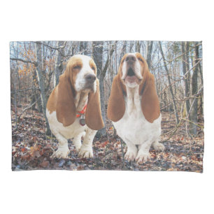 Cães de Basset no caso do travesseiro de Basset