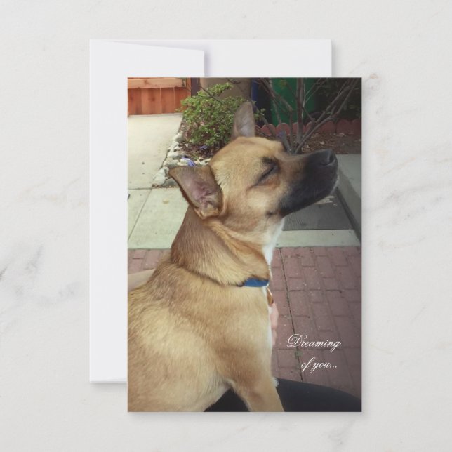 Cães de Emergência 3,5" x Cartões de agradecimento (Frente)