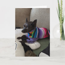 Cães de Emergência Padrão, Cartão de Saudação Dobr