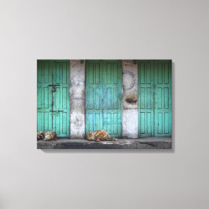 Cães dispersos na frente das canvas verdes sujas