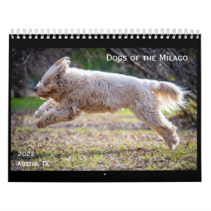Cães do Calendário de Milago