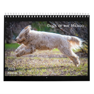 Cães do Calendário de Milago