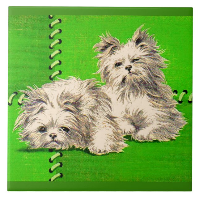 cães fofos (Frente)