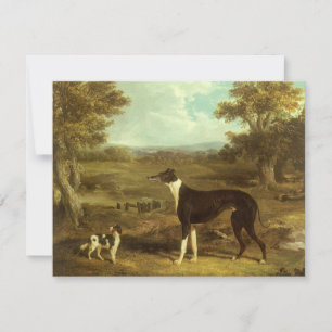 Cães, Greyhound e Spaniel, Doutor Fop por Herring