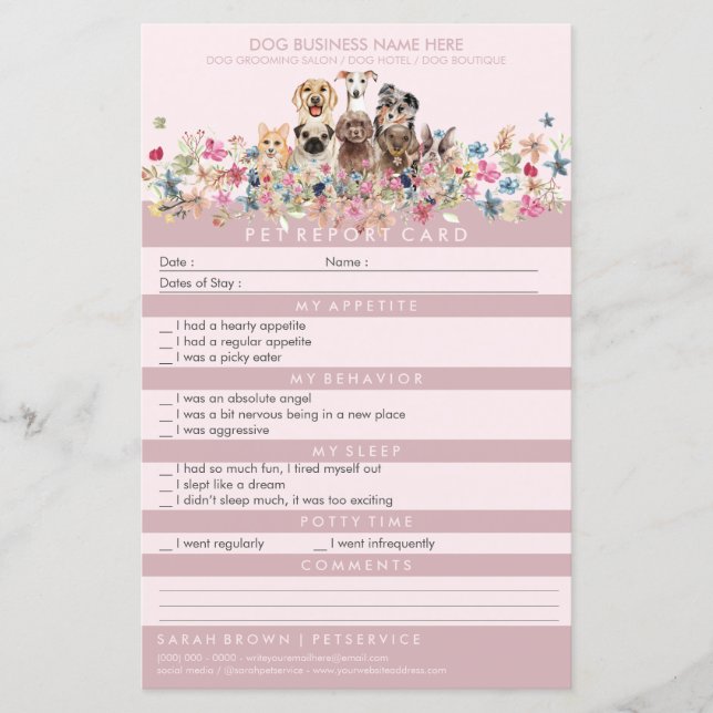 Cães-Martelo Rosa-Esbranquiçados (Frente)