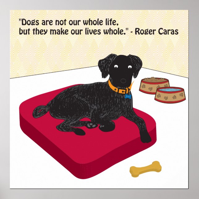 Cães não são toda a nossa vida poster (Frente)