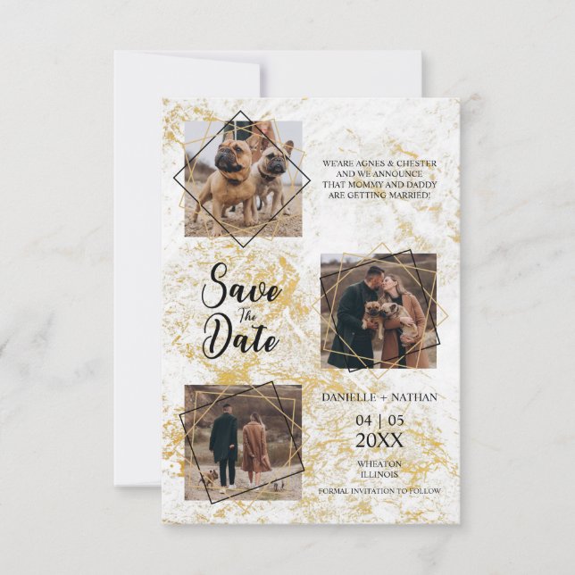 Cães Põe Três Fotos Envolvidas Falso Efeito Dourad (Frente)