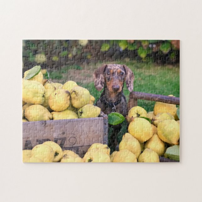 Cães Quebra-cabeça Animais Pic Cachorro Cachorro C (Horizontal)