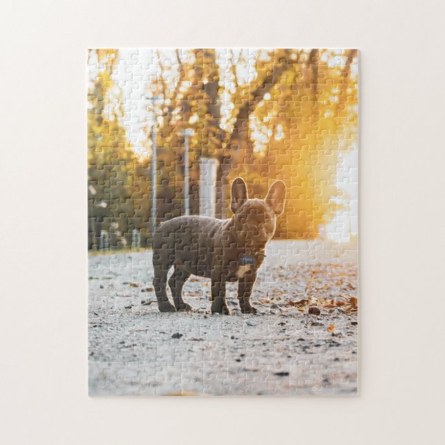 Cães Quebra-cabeça Animais Pic Cachorro Cachorro C (Vertical)