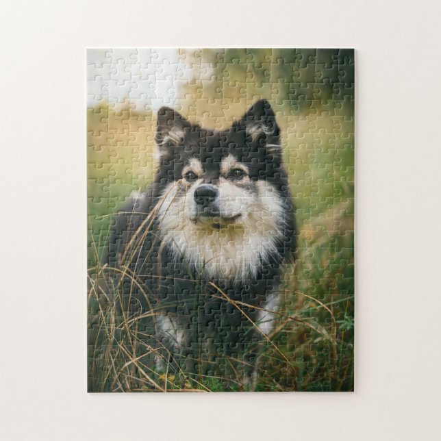 Cães Quebra-cabeça Animais Pic Cachorro Cachorro C (Vertical)