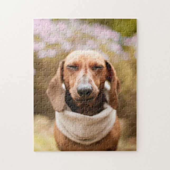 Cães Quebra-cabeça Animais Pic Cachorro Cachorro C (Vertical)