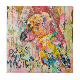 CÃES SÃO MÁGICOS