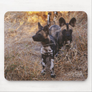 Cães selvagens Mousepad