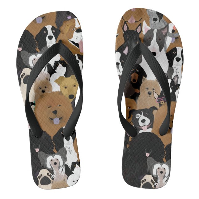 Cães, um Gato e Chinelos de Galinha (Pé da cama)