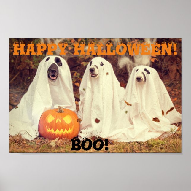 CÃES VESTINDO CUSTOS FANTASMAS HALLOWEEN POSTER (Frente)