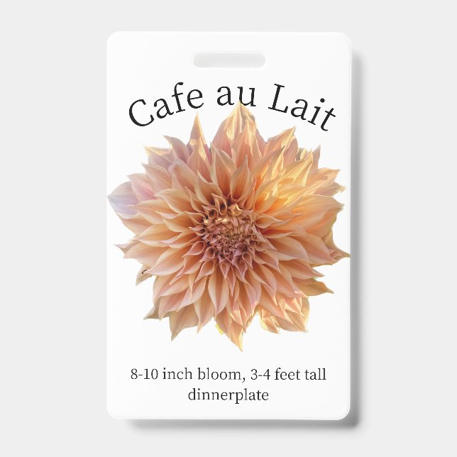 Cafe au Lait Dahlia ID Crachá (Frente)