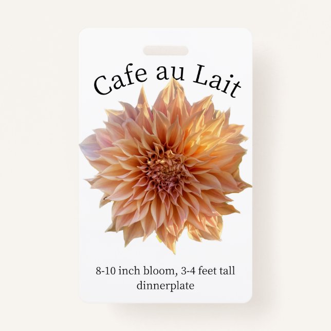 Cafe au Lait Dahlia ID Crachá (Frente)