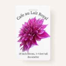 Cafe au Lait Royal Dahlia ID Crachá